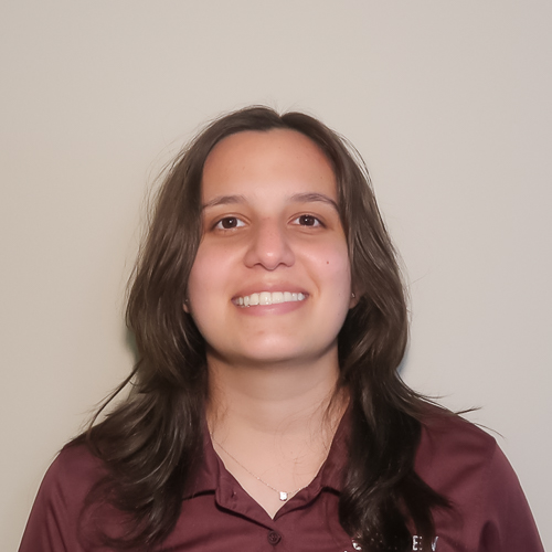 Laila Hamideh Headshot