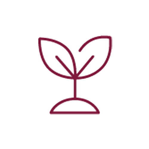 Request Presentation icon