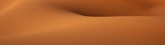 dune2.jpg